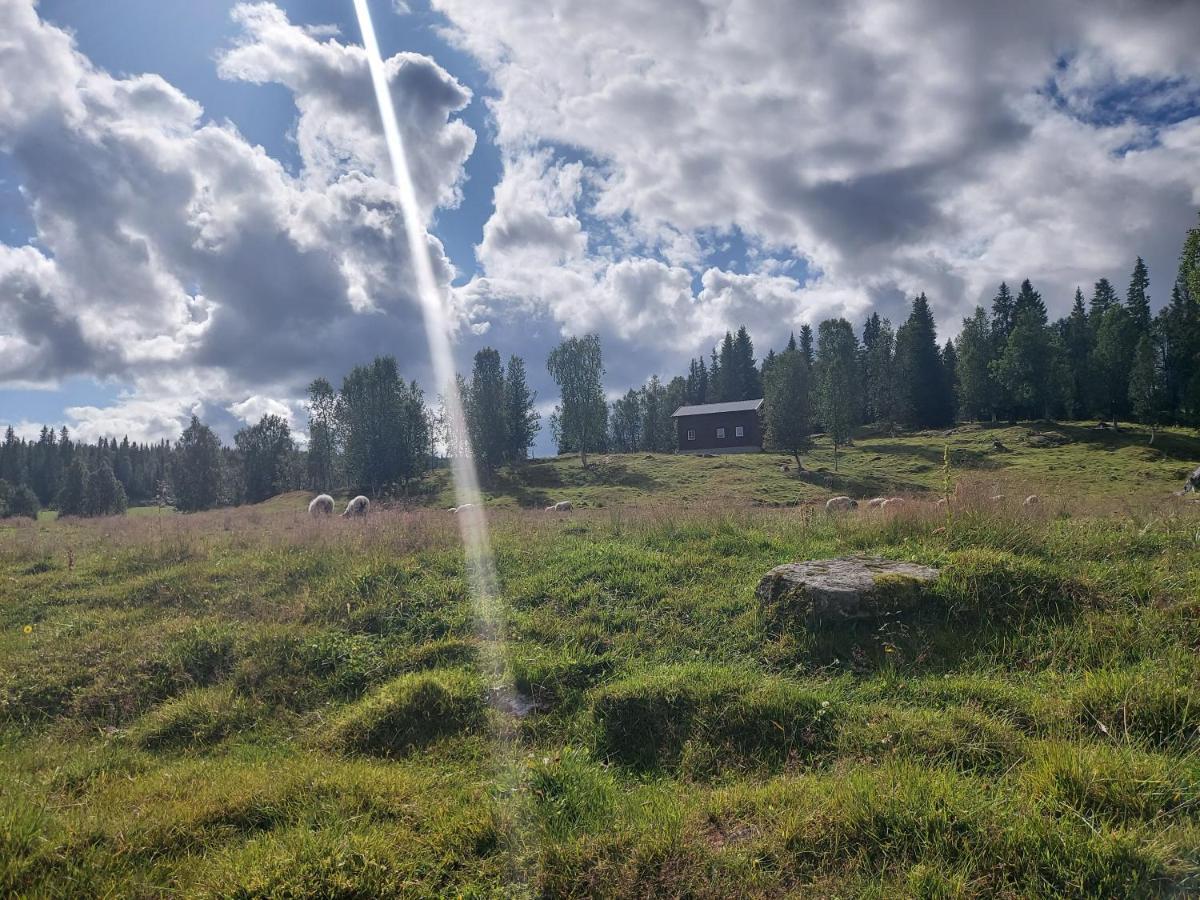 Villmarksgard, Hytte Ved Vannet Villa Hattfjelldal Luaran gambar